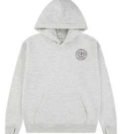 Børn Abercrombie & Fitch Hættetrøje - Lysegråmeleret m. Print