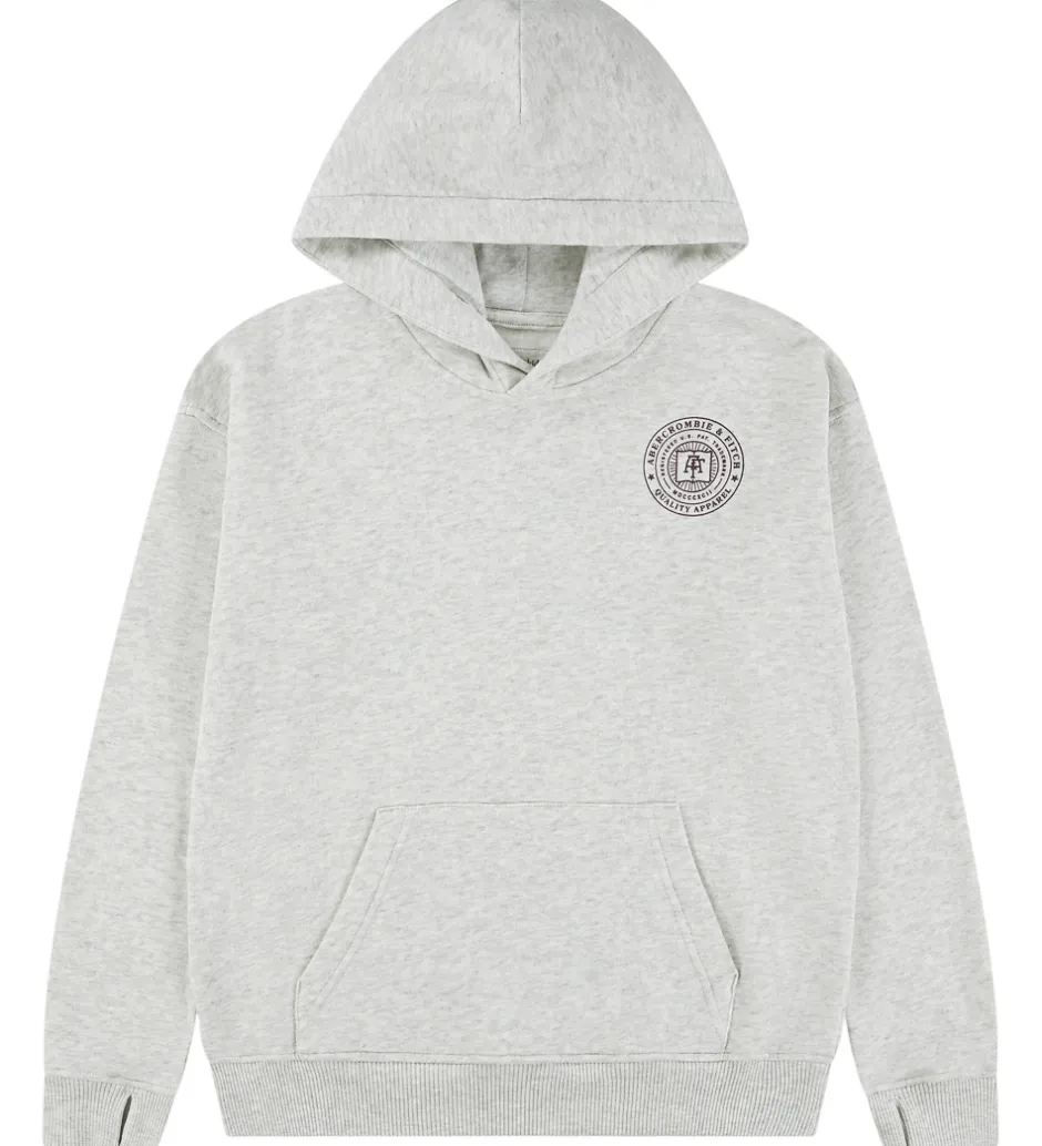Børn Abercrombie & Fitch Hættetrøje - Lysegråmeleret m. Print