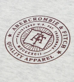 Børn Abercrombie & Fitch Hættetrøje - Lysegråmeleret m. Print