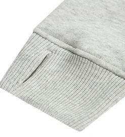 Børn Abercrombie & Fitch Hættetrøje - Lysegråmeleret m. Print
