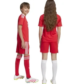 Fodboldshorts|Fodbold*adidas Originals Shorts - FC Bayern München 25/26 - Pure Ruby