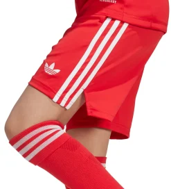Fodboldshorts|Fodbold*adidas Originals Shorts - FC Bayern München 25/26 - Pure Ruby