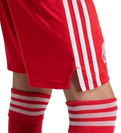 Fodboldshorts|Fodbold*adidas Originals Shorts - FC Bayern München 25/26 - Pure Ruby