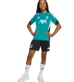 Fodboldtrøjer|Fodbold*adidas Performance Fodboldtrøje - Liverpool Youth 25/26 - Sea Gr