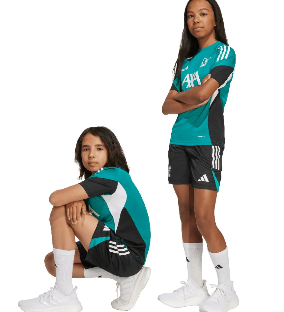 Børn adidas Performance Shorts - Liverpool Youth 25/26 - Sort