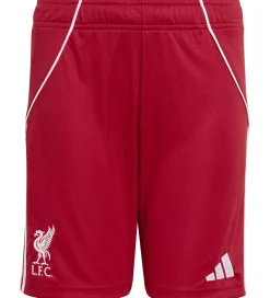 Børn adidas Performance Shorts - Liverpool 25/26 Hjemmebane - Strred