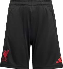Fodboldshorts|Fodbold*adidas Performance Shorts - Liverpool - Sort