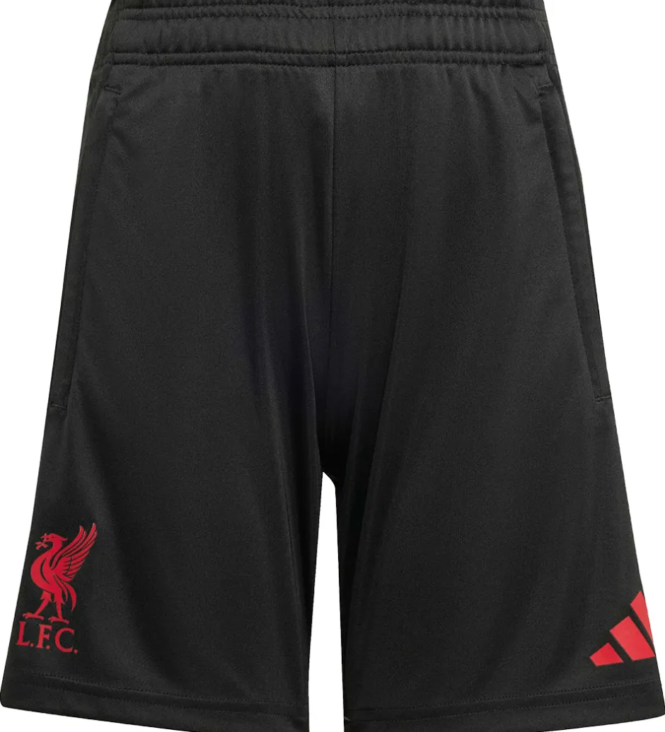 Fodboldshorts|Fodbold*adidas Performance Shorts - Liverpool - Sort
