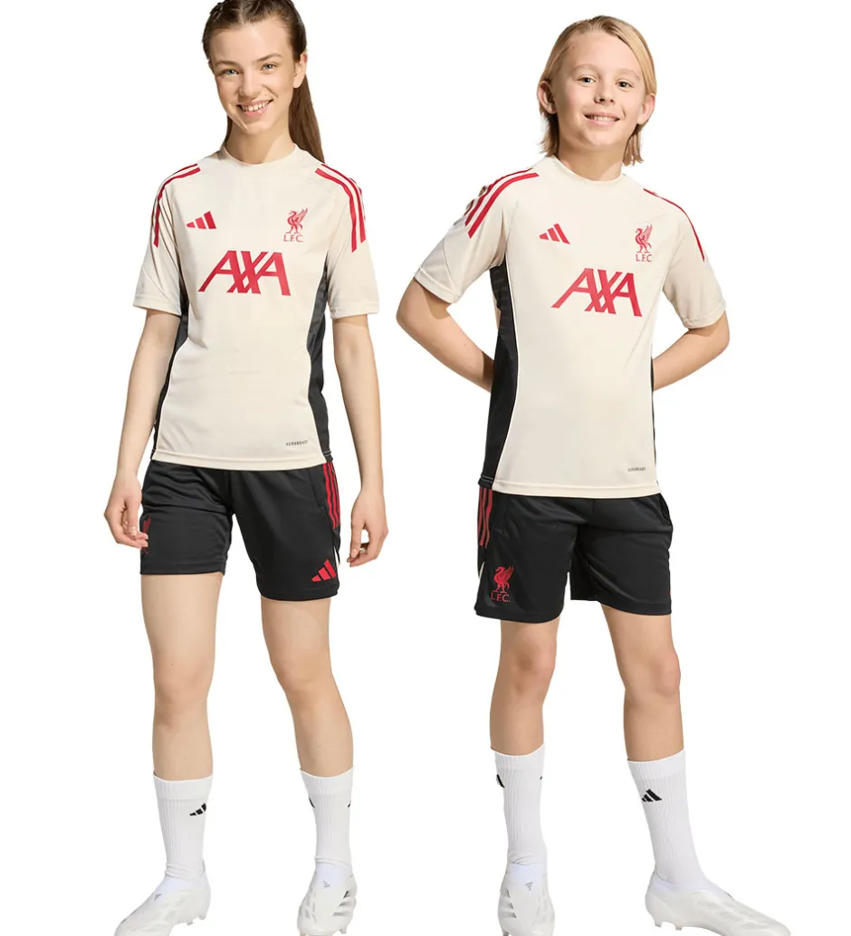 Fodboldshorts|Fodbold*adidas Performance Shorts - Liverpool - Sort