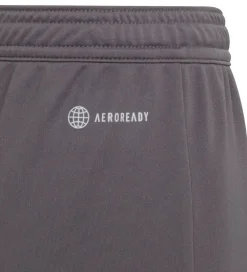 adidas Performance Shorts - Entrada 22 - Grå
