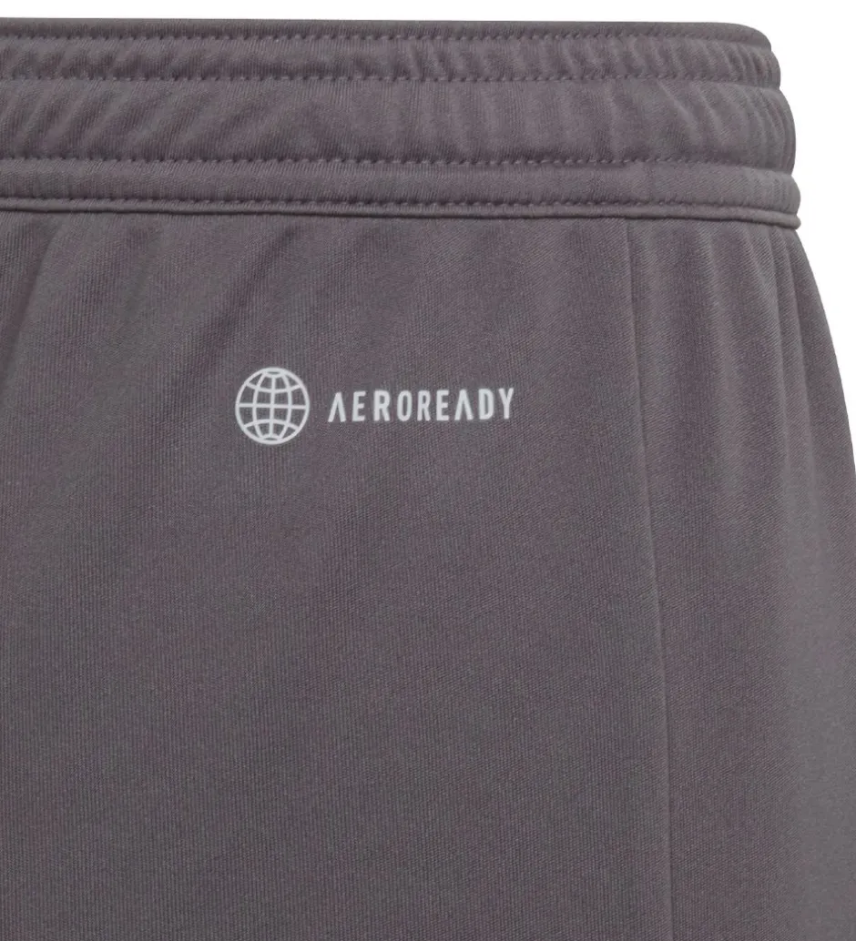 adidas Performance Shorts - Entrada 22 - Grå