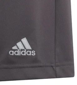 adidas Performance Shorts - Entrada 22 - Grå
