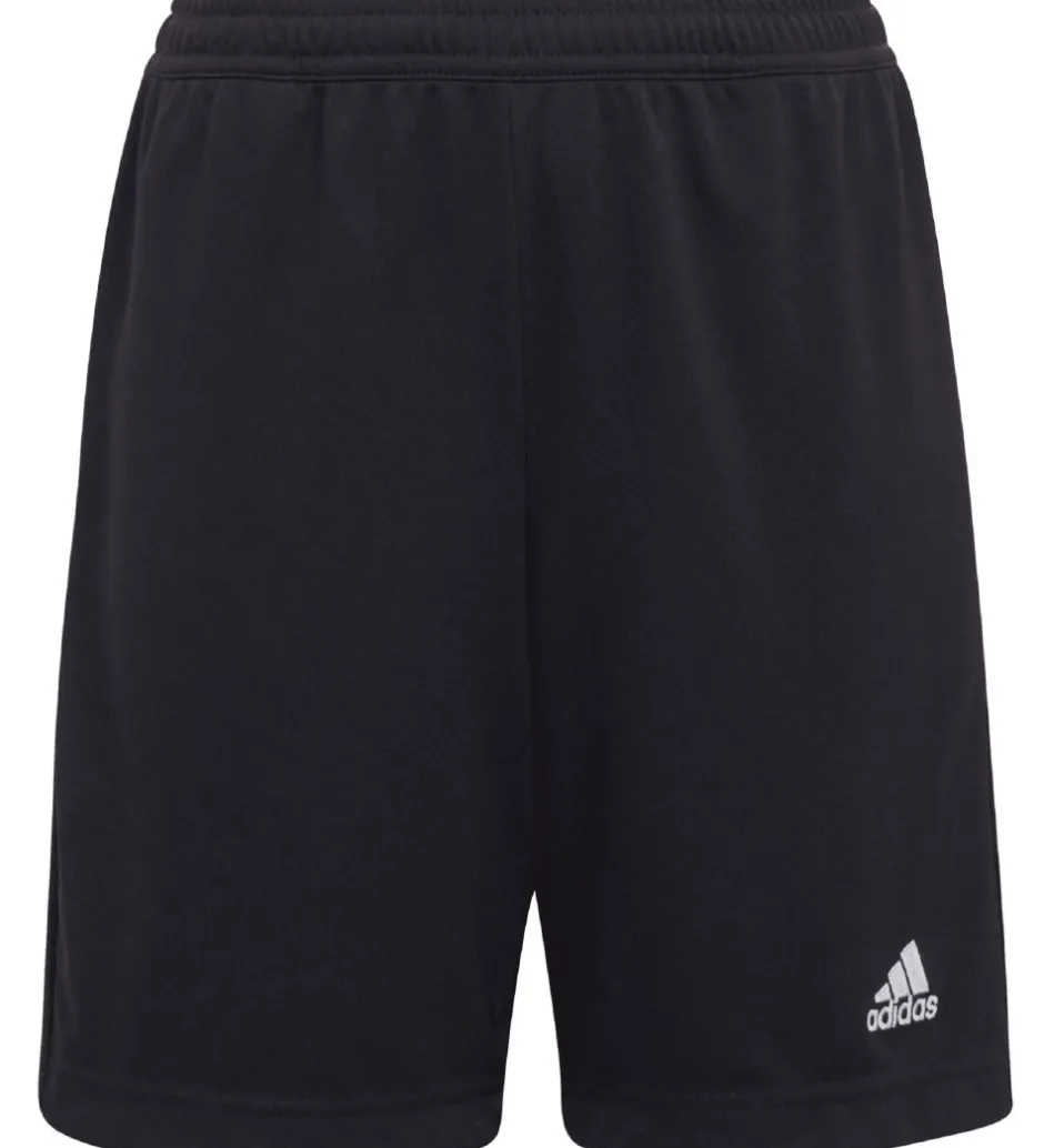 Sportsshorts|Fodboldshorts*adidas Performance Shorts - Entrada 22 - Sort