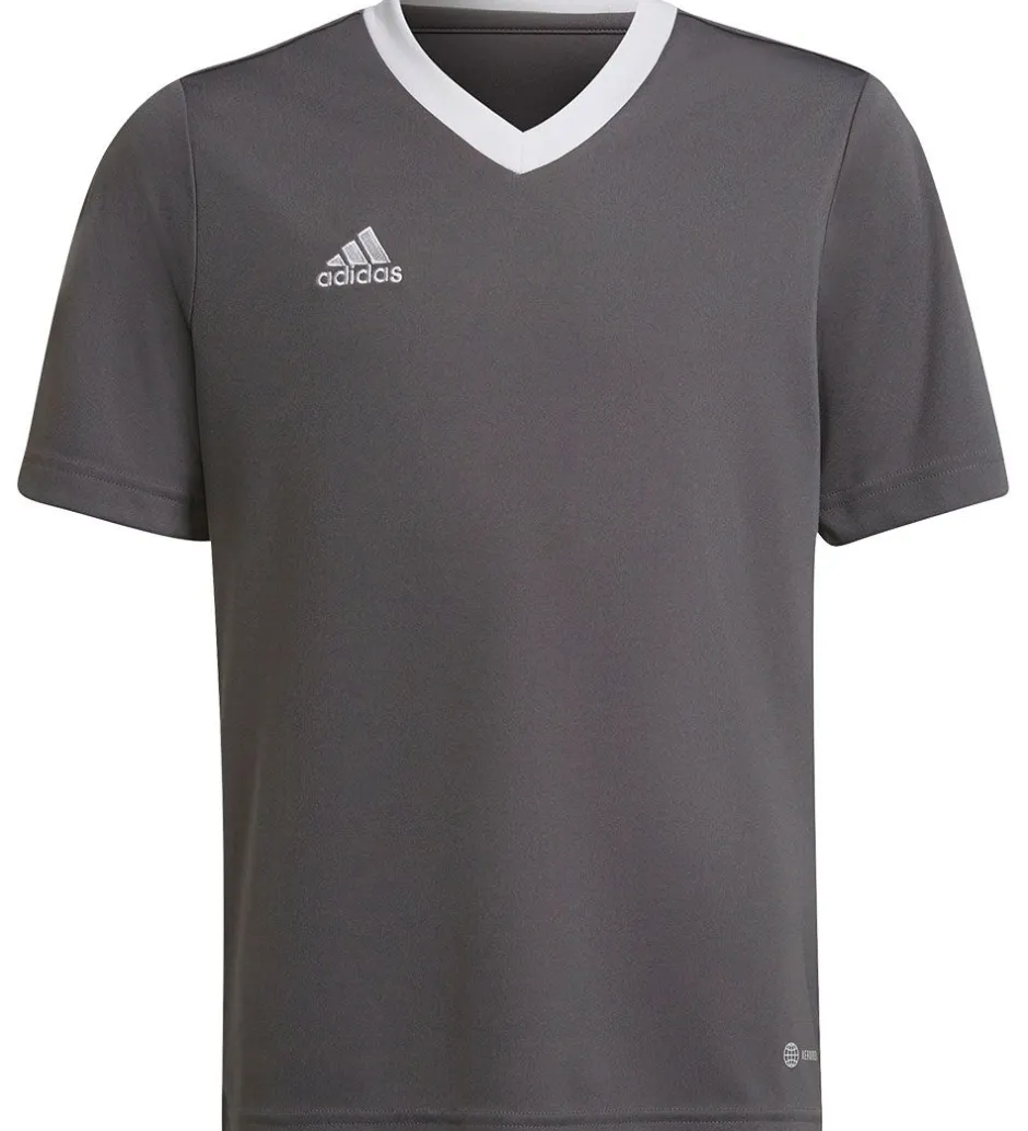 T-Shirts Og Toppe*adidas Performance T-Shirt - ENT22 JSYY - Grå/Hvid