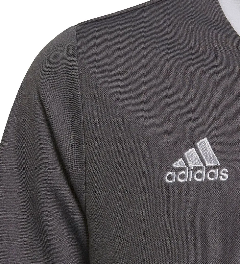 T-Shirts Og Toppe*adidas Performance T-Shirt - ENT22 JSYY - Grå/Hvid