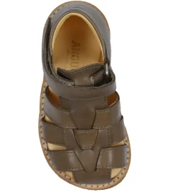 Angulus Sandaler - Begynder - Taupe