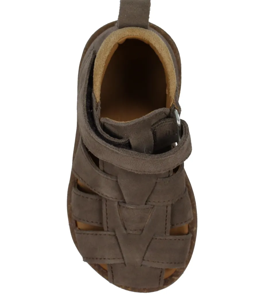 Angulus Sandaler - Begynder - dark Taupe/Camel