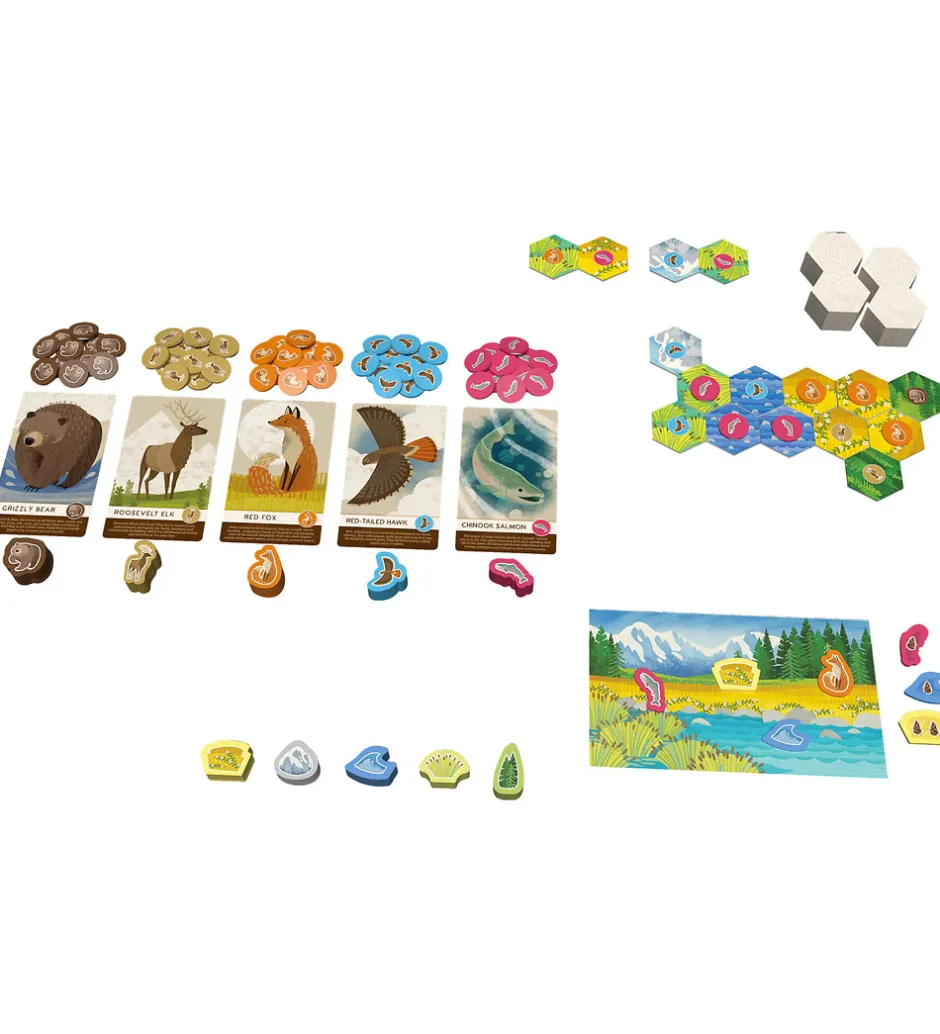 Spil*Asmodee Spil - Cascadia Junior