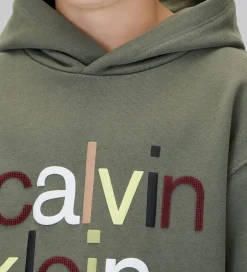 Hættetrøjer*Calvin Klein Hættetrøje - Color Logo - Thyme Green
