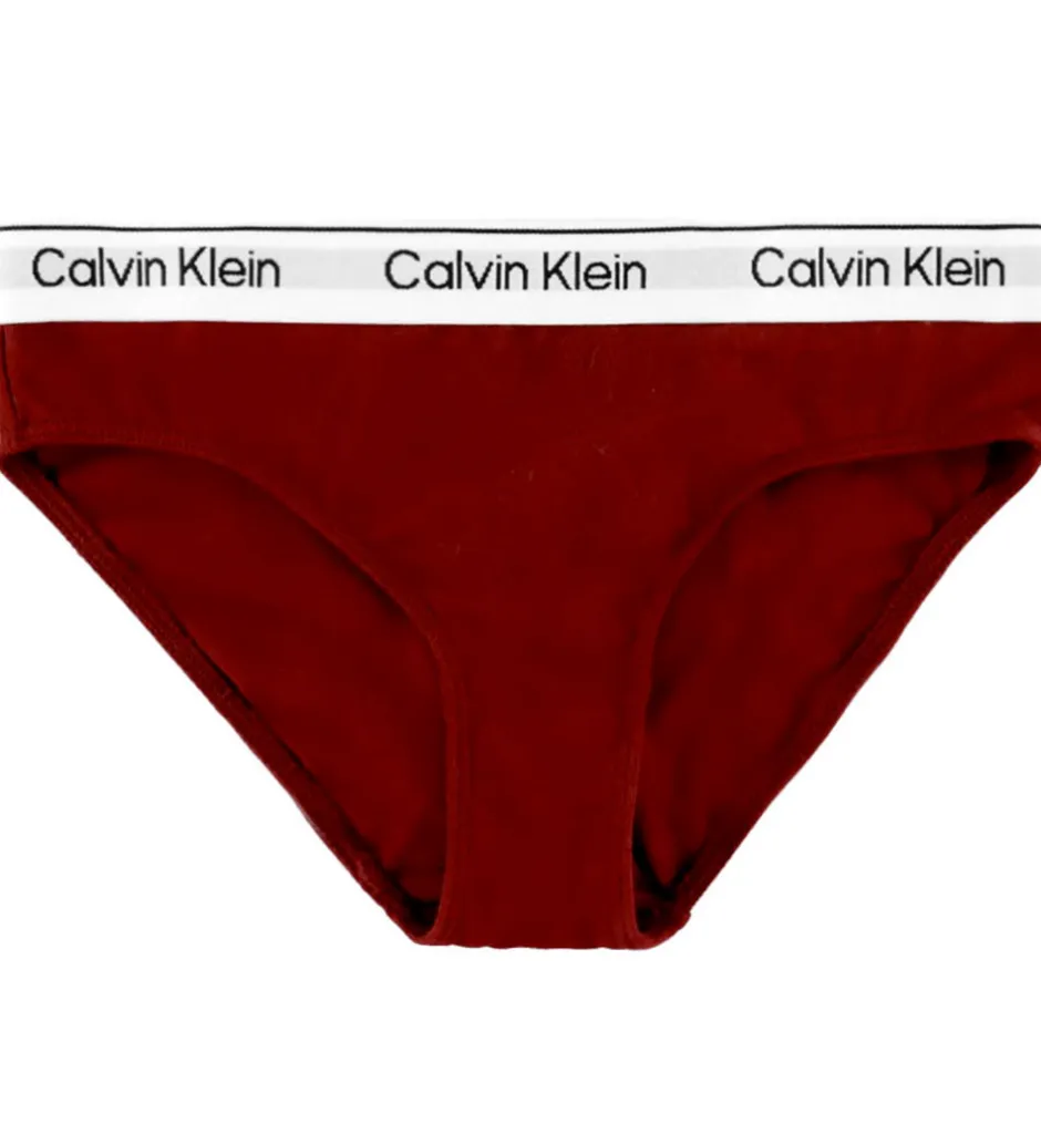 Børn Calvin Klein Trusser - 2-pak - Light Lilac/Raspberry Chocolate