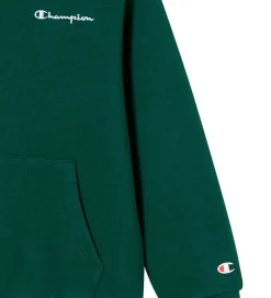Hættetrøjer*Champion Hættetrøje - Forest Peak Green