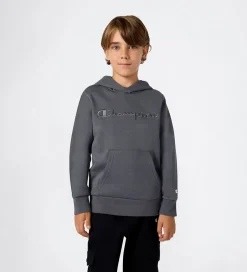 Hættetrøjer*Champion Hættetrøje - Forged Steel Grey