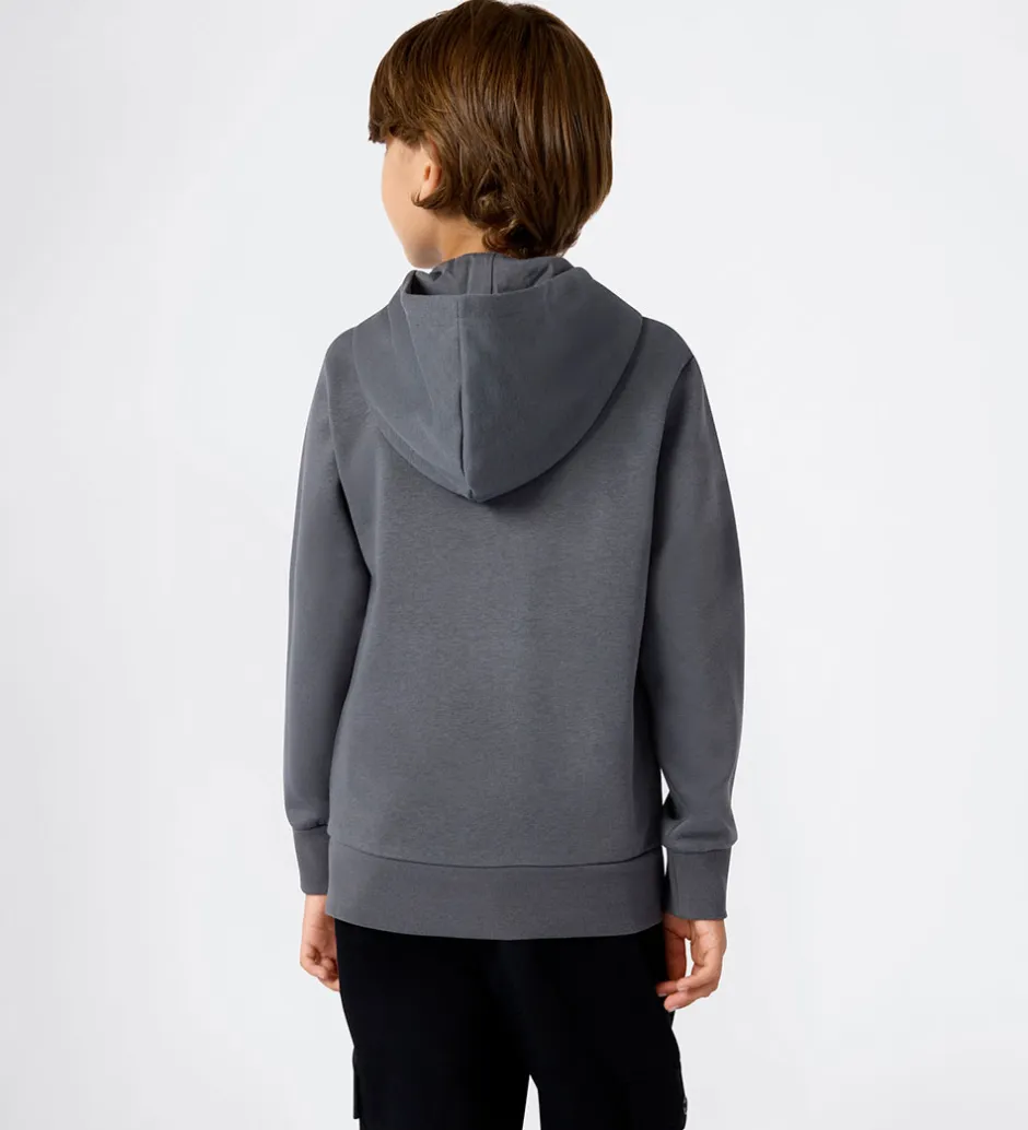 Hættetrøjer*Champion Hættetrøje - Forged Steel Grey