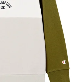Hættetrøjer*Champion Hættetrøje - Immersive Olive