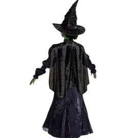 Disguise Udklædning - Wicked - Elphaba