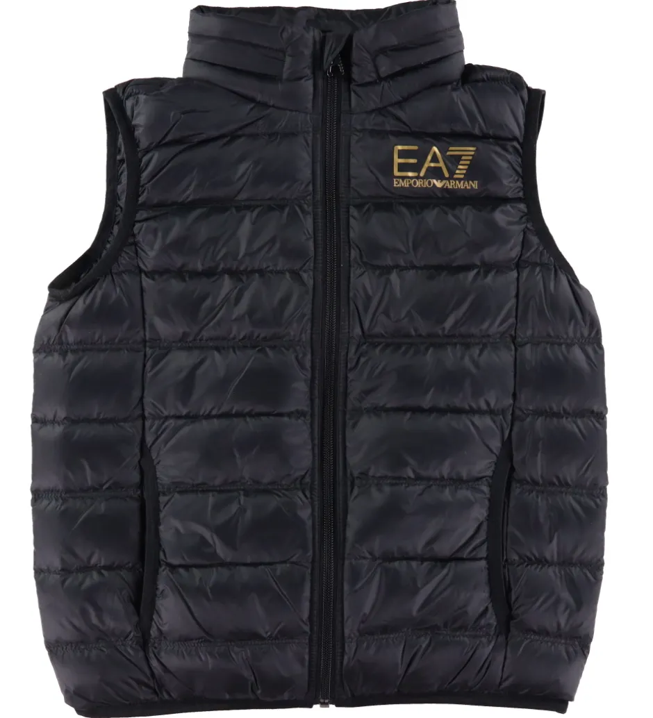 Dunveste Og Dyneveste*EA7 Dunvest - Sort m. Guld