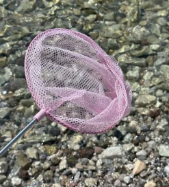 Strandlegetøj*Follow the Duck Net - Telescopic Net - Blush Rose