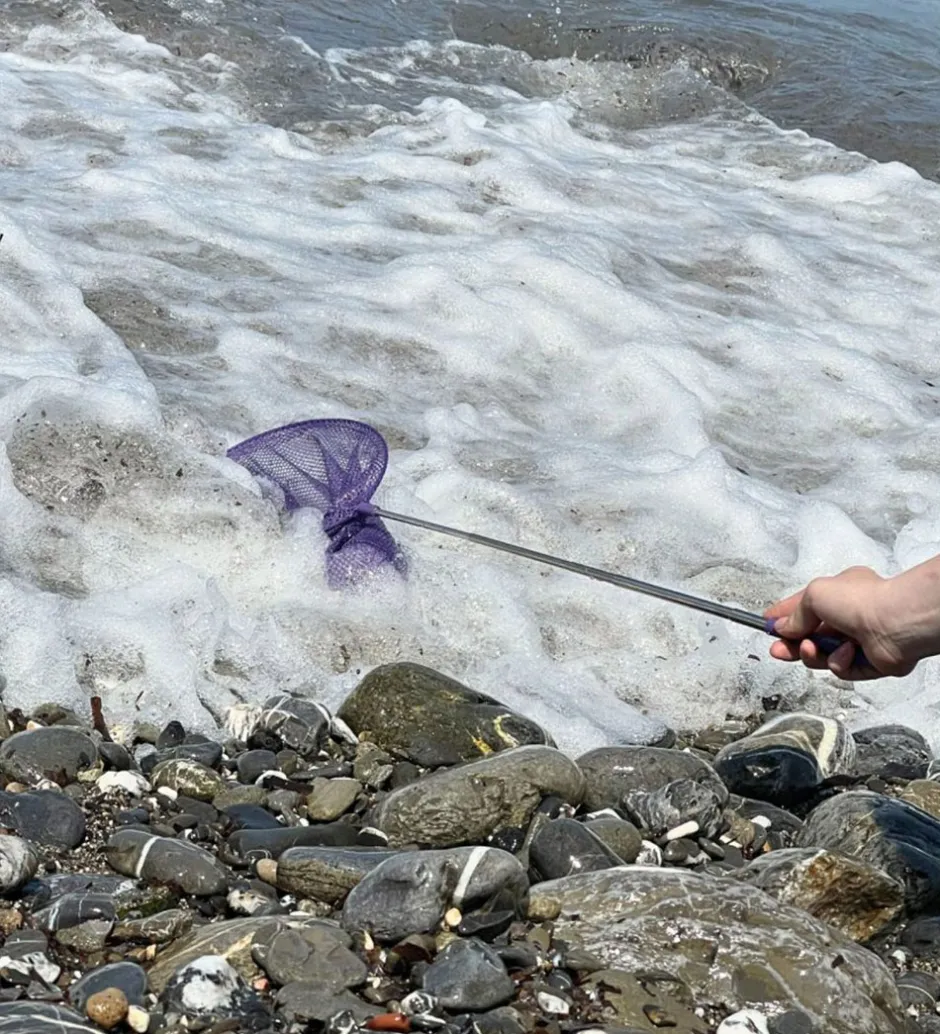 Strandlegetøj*Follow the Duck Net - Telescopic Net - Dark Purple