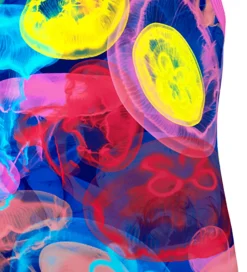 Svømmetøj*Funkita Badedragt - Printed - UV50+ - Sting Stung