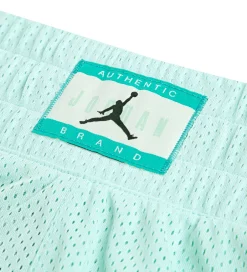 Sportsshorts*Jordan Shorts - Dri-Fit - Igloo m. Print