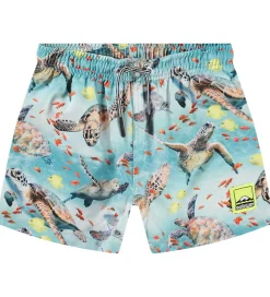 Børn Molo Badeshorts - UV50+ - Niko - Marine Turtles