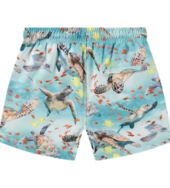 Børn Molo Badeshorts - UV50+ - Niko - Marine Turtles