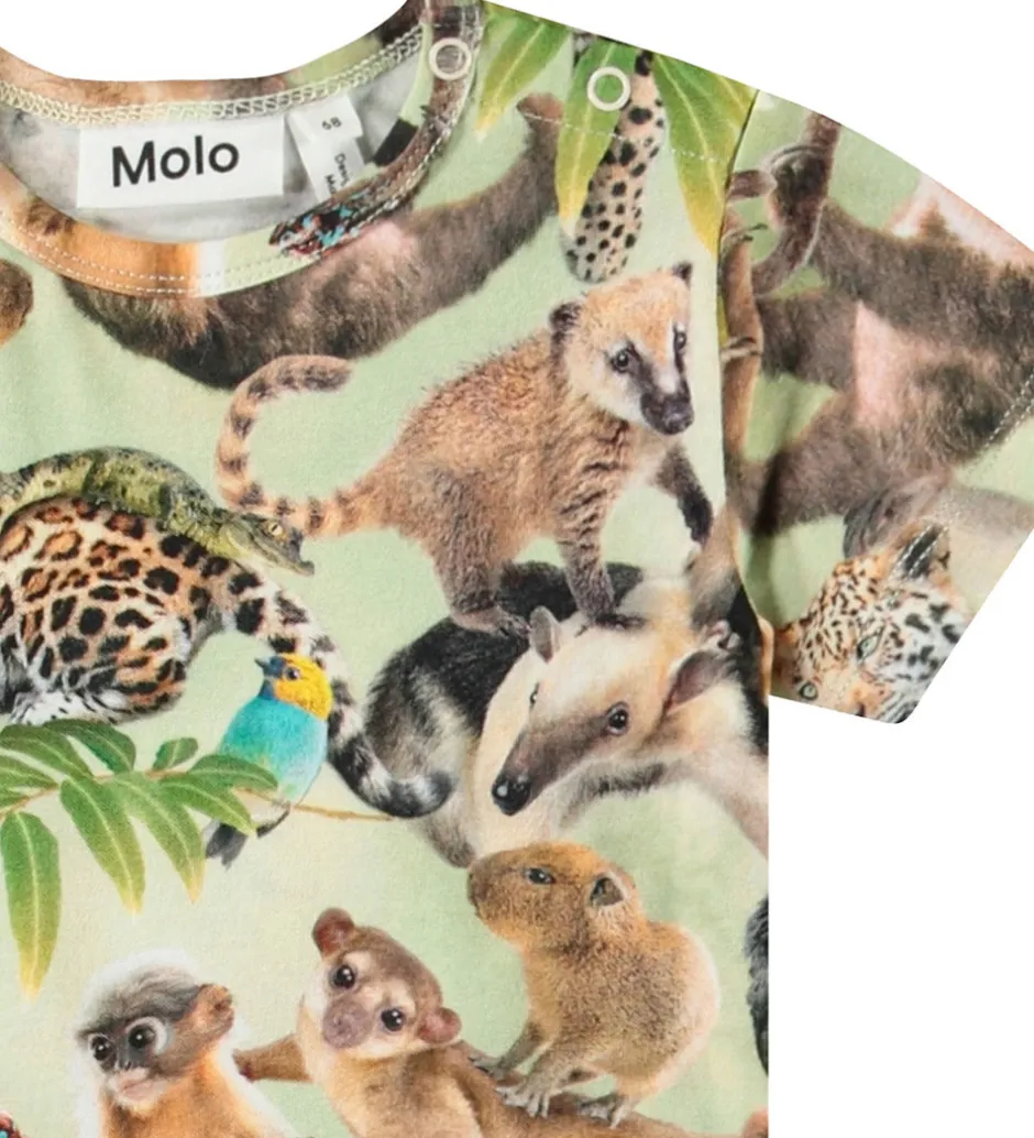 Sommerdragter*Molo Sommerdragt - Finn - Jungle Cubs