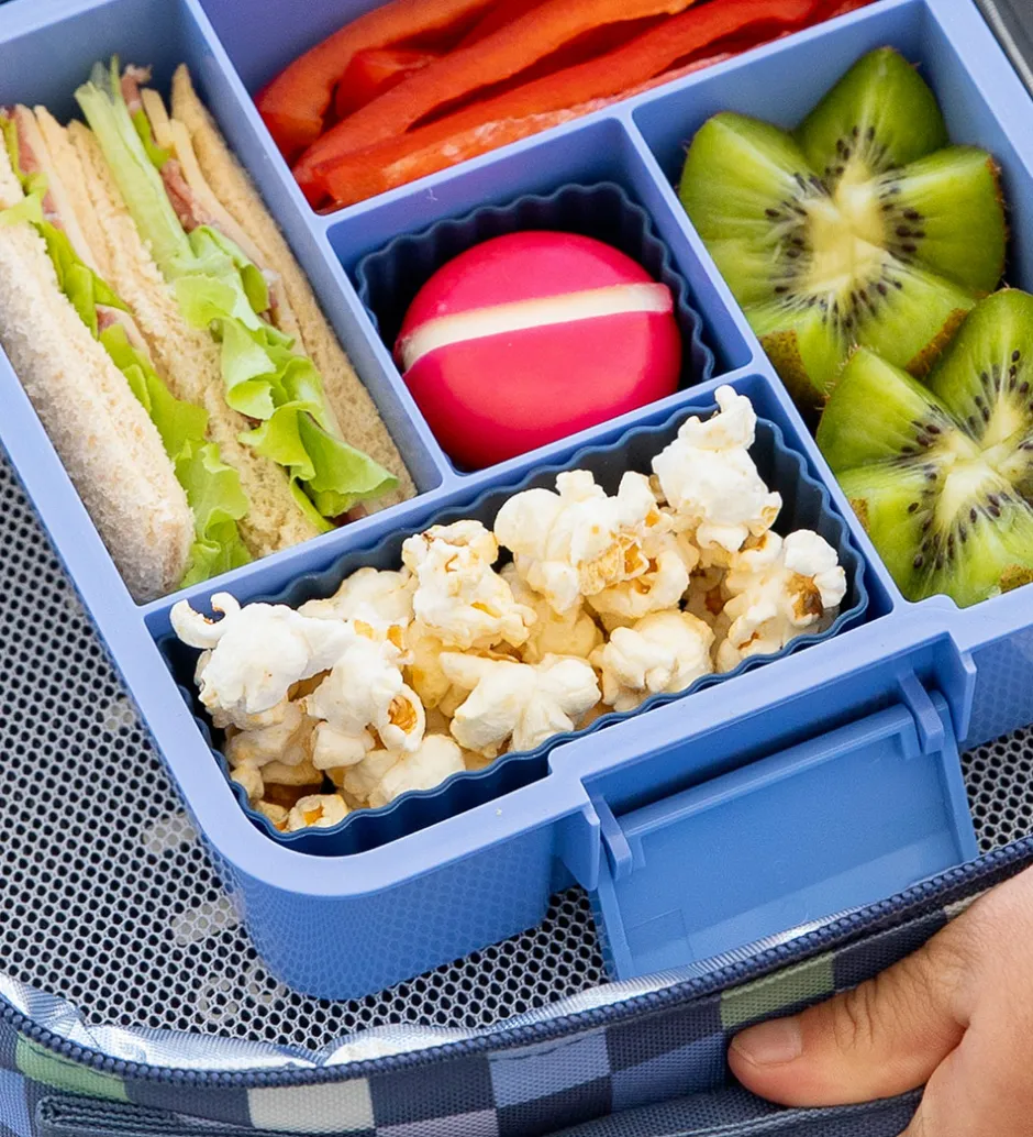 Skole|Madkasser*Montiico Silikoneforme - Bento Cups Mixed - 3 stk. - Pine