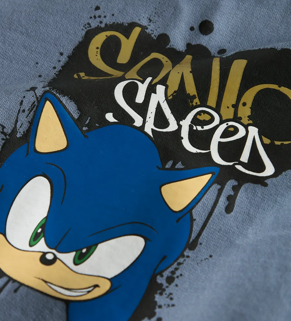 Børn Name It Sweatshirt - NkmNair - Sonic - Flint Stone