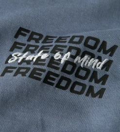 Børn Name It Sweatshirt - NkmSteve - Flint Stone