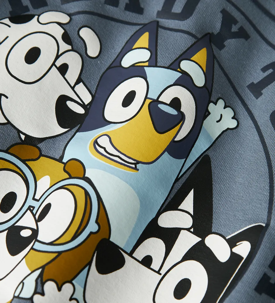 Sweatshirts*Name It Sweatshirt - NmmNimbu - Bluey - Flint Stone