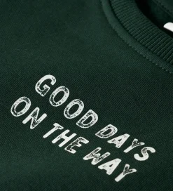 Børn Name It Sweatshirt - NmmSlade - Pine Grove