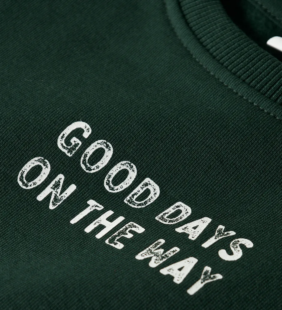 Børn Name It Sweatshirt - NmmSlade - Pine Grove