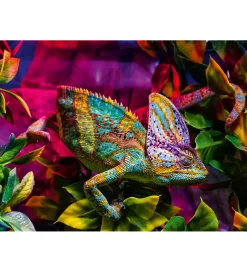 Puslespil*Ravensburger Puslespil - 500 Brikker - Chameleon