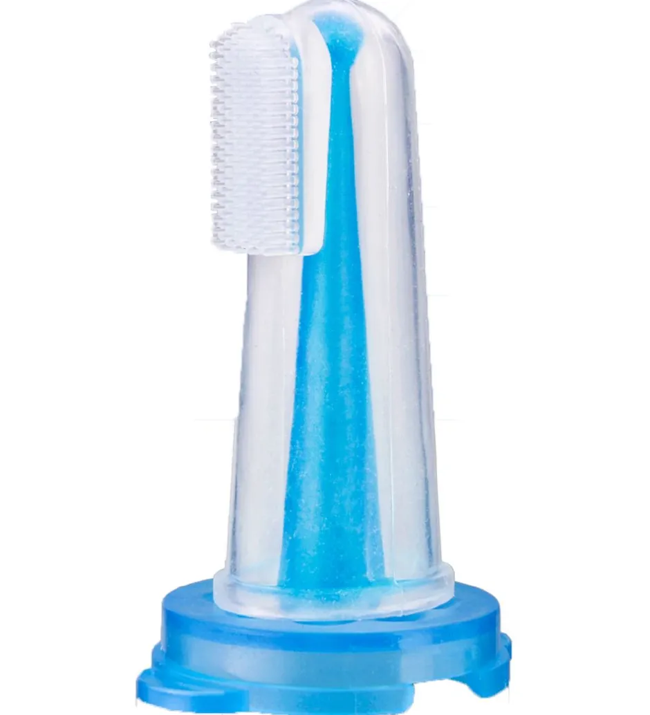 Tandbørster*Reer Fingertandbørste m. Opbevaringsboks - Turkis