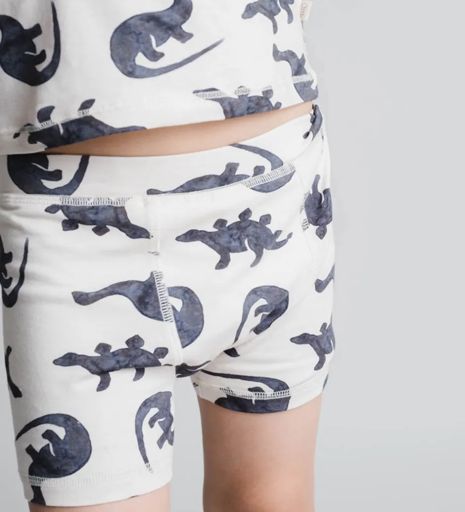 Undertøj*Thats Mine Boxershorts - 2-pak - Ebbe - Mono Dino