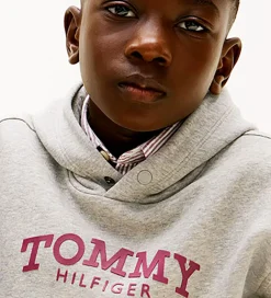 Børn Tommy Hilfiger Hættetrøje - Mid Grey/Heather Grey