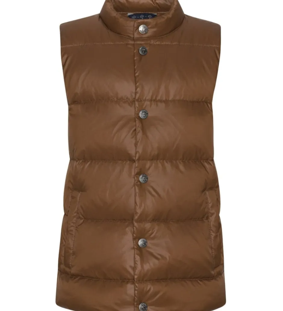 Dunveste Og Dyneveste*Ver de Terre Dunvest - Brownie