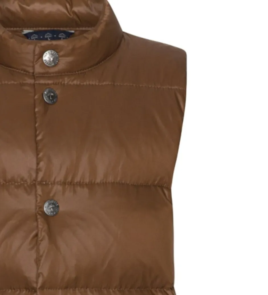 Dunveste Og Dyneveste*Ver de Terre Dunvest - Brownie