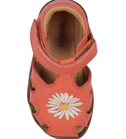 Sandaler*Wheat Sandaler - Lowe - Coral